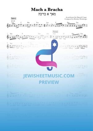 Mach A Bracha by Shmueli Ungar.