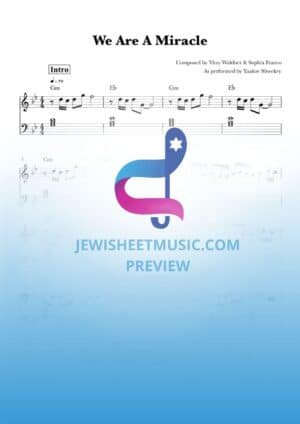 We Are A Miracle - Yaakov Shwekey