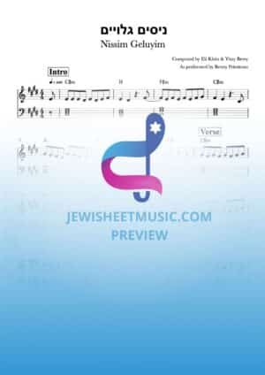 ניסים גלויים - בני פרידמן