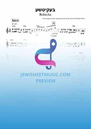 Bekitcha - Sruly Green & Motty Weiss. בעקיטשע